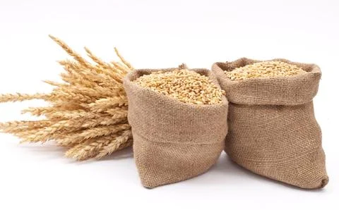 Sacks of wheat grains Stock Photos
