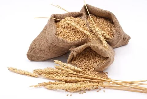 Sacks of wheat grains Stock Photos