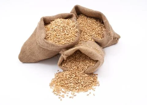 Sacks of wheat grains Stock Photos