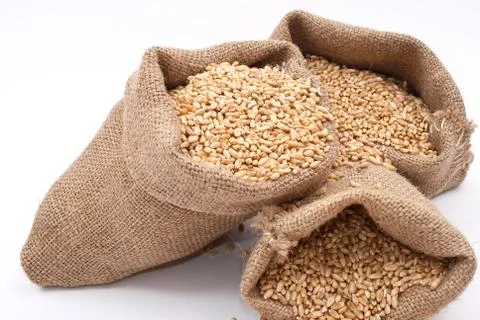 Sacks of wheat grains Stock Photos