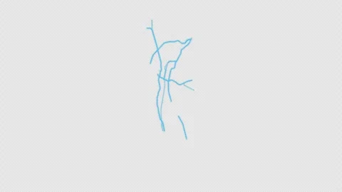 Sacramento City Line Map Self Drawing Animated Overlay, Alpha 4K 스톡 동영상 340286183