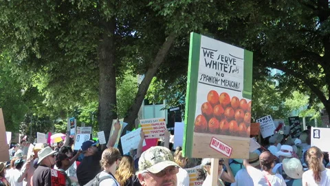 Sacramento Immigrant demonstration, crowd of demonstrators Video stock 153108349