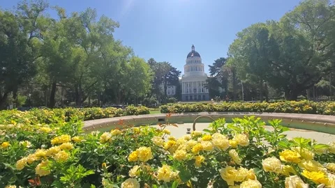 Sacramento in July Stock Footage 157333750