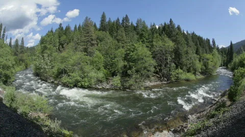Sacramento River curve Stock Footage