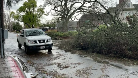 Sacramento Tree Fallen in Strom Damage Video stock 147404385