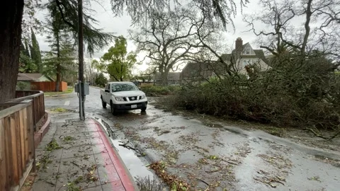Sacramento Tree Fallen in Strom Damage Video stock 147404394