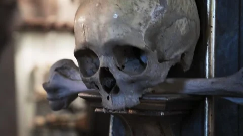 Sacred Bone Repository: Skulls Adorned in Gothic Fashion Stock Footage 264668952