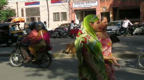 Sacred Cows in Jaipur.mp4 Video stock 22884463