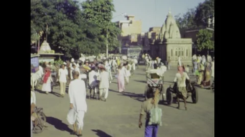 Sacred cows roaming busy streets of jaipur india 1974 Stock Footage 291083714