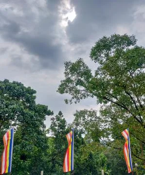 Sacred fig with Buddhist flags 스톡 사진