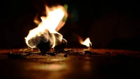 Sacred Fire. Flame close-up in the Indian Temple on a Religious Festival Maha Video stock 77949709