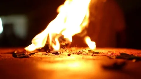 Sacred Fire. Flame close-up in the Indian Temple on a Religious Festival Maha Stock Footage 77949718