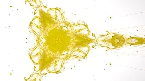 Sacred geometry. An esoteric concept.  Occultism and alchemy Stock Footage 303686122