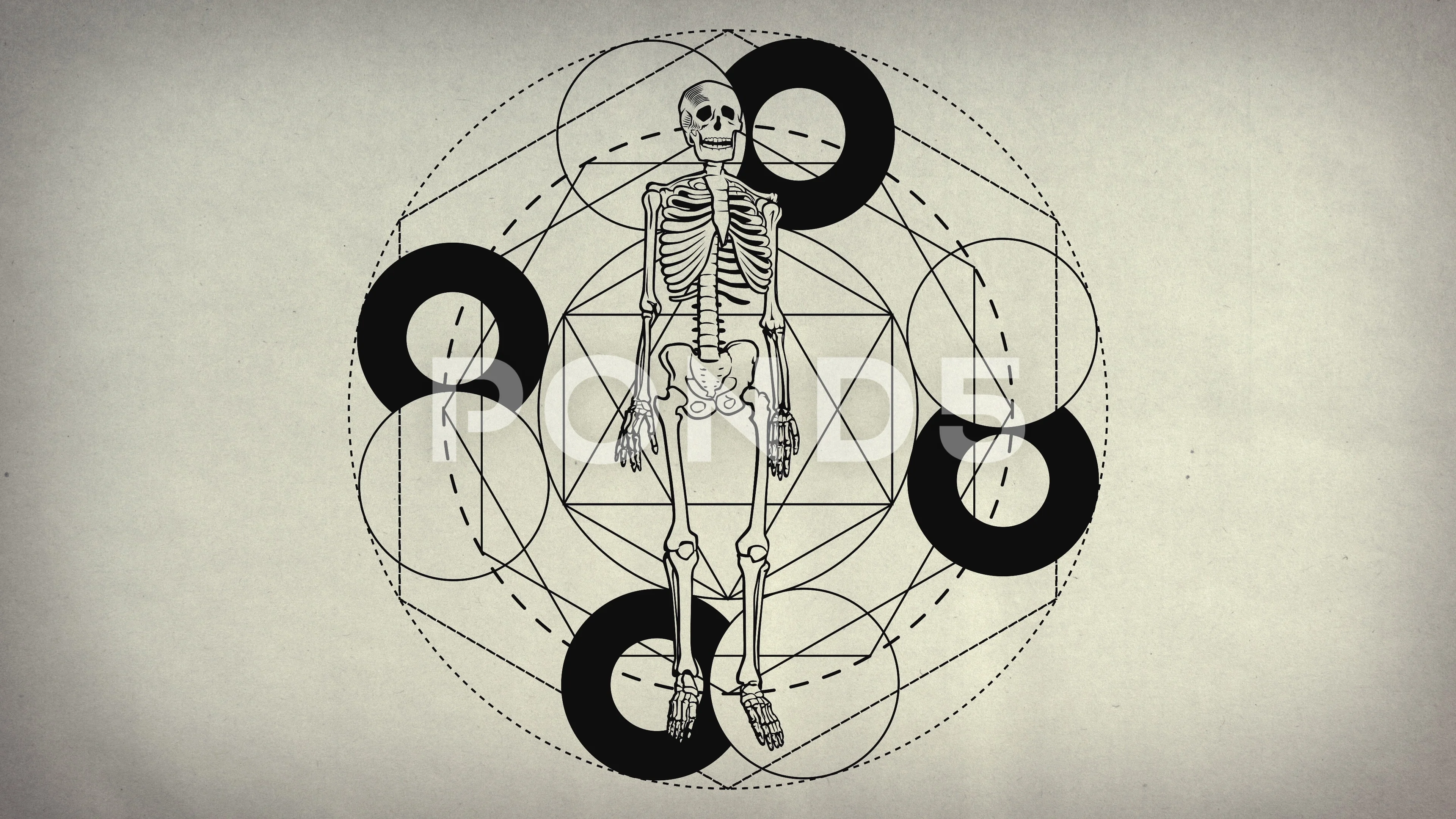 sacred geometry in humans