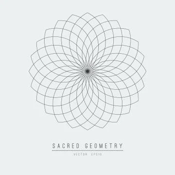 Sacred geometry line vector element flower of life . Vector illustration . Иллюстрация