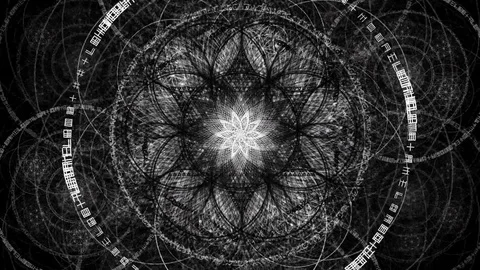 Sacred Geometry Loop - Flower Frequency Stock Footage 93605000