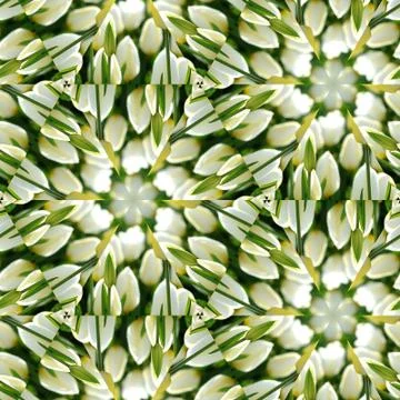 Sacred geometry pattern hexagon triangles with tulips flowers 스톡 일러스트