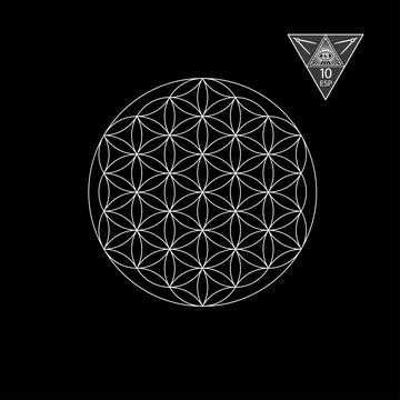 Sacred geometry. Vector Illustration isolated on white. Sacred geometry. White Stock Illustration