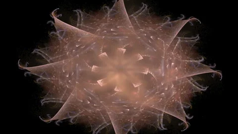 Sacred mandala, never ending loop of changing patterns and shapes Stock Footage 249612883