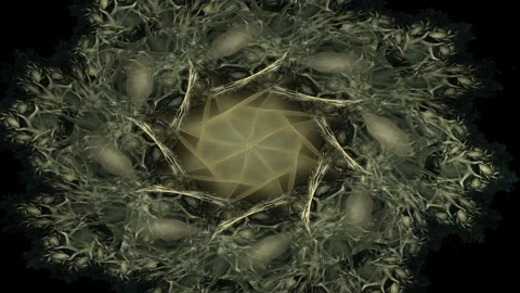 Sacred mandala, never ending loop of changing patterns and shapes Stock Footage 260649290