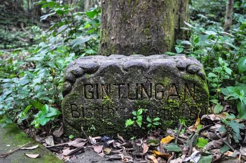Sacred monkey forest, bali ubud Stock Photos