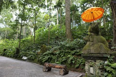 Sacred Monkey Forest Stock Photos