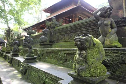 Sacred Monkey Forest Stock Photos