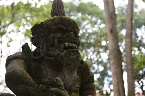 Sacred Monkey Forest Stock Photos