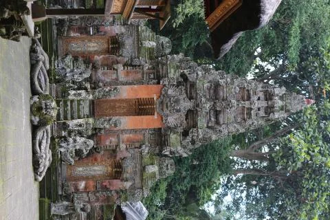 Sacred Monkey Forest Stock Photos