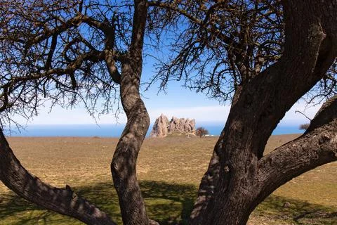 Sacred mountain Beshbarmag through tree trunks. Stock Photos