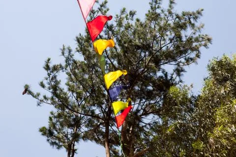 Sacred prayer flags on the background of the Himalayan pines, Manikaran. Stock Photos