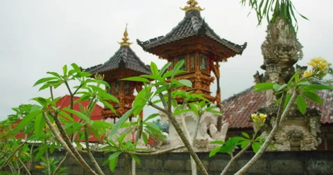 Sacred temple towers viewed through tropical foliage in Bali Nusa Penida Stock-Footage 339274213