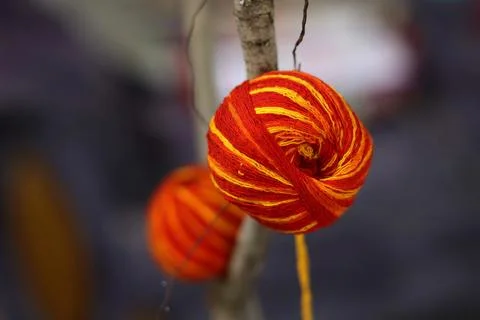 Sacred Thread Balls on Banyan Tree Traditional red and yellow sacred thread Stock Photos
