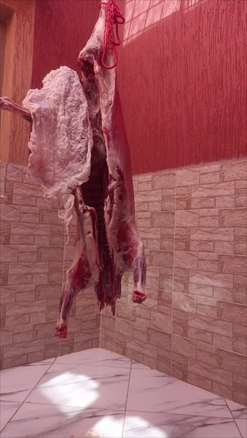 Sacrificial Lamb Carcass Hanging for Eid al-Adha Feast Stock-Footage 335783442