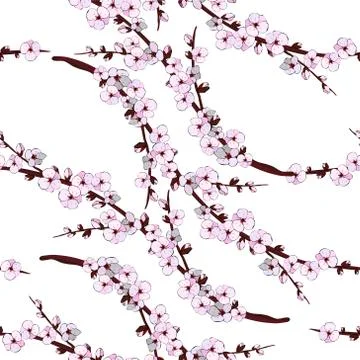 Sacura flower pattern Stock Illustration
