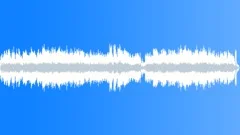 Sad Acoustic Guitars Stock Music