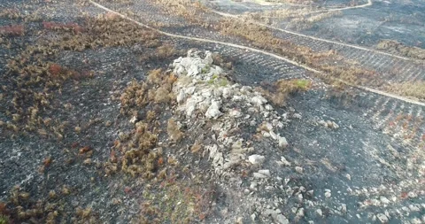 Sad and dramatic scenery of a burnt earth from above The Concept of ecologi.. 스톡 동영상 323626532