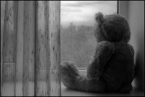 Sad bear Foto stock