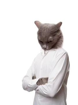 Sad cat man Stock Illustration