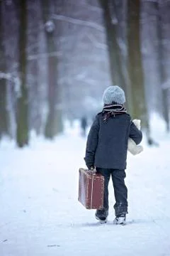 Sad child, boy, walking in a forest with old suitcase and teddy bear Stock Photos
