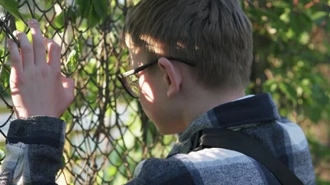 Sad child looking over school fence. Bowling and childhood depression. Vídeos de archivo 310305798