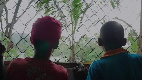 Sad children looking out window - slow motion Video stock 146051948