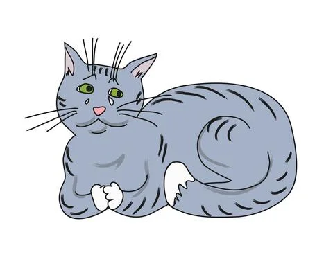Sad Crying Grey Cat With White paws and green eyes Stock Illustration