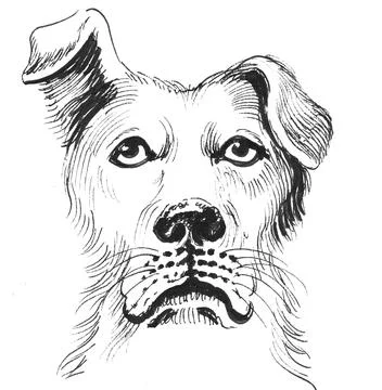 Sad dog Stock Illustration