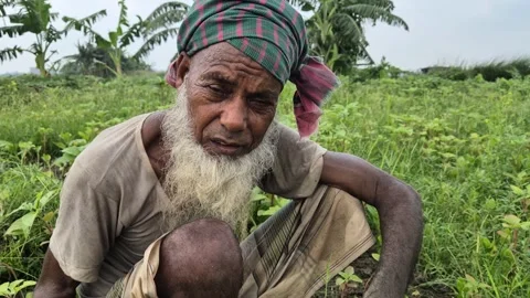 Sad Elderly Farmer Facing Crop Loss In Overgrown Weed Field Video stock 337978246