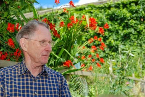 Sad elderly man sits alone on a sunny day Stock Photos