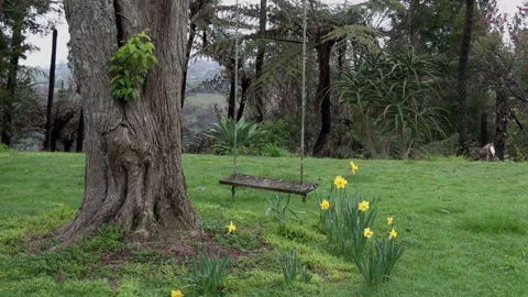 Sad Empty Childs Swing with Daffodils Stock Footage 137359838