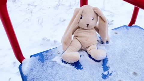 Sad forgotten abandoned rabbit sitting outside in snowy day, Stock Footage 221305279
