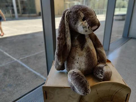 Sad grey rabbit puppet sitting on the wood box Stock Photos