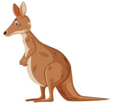 Sad kangaroo standing on white background Stock Illustration